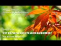 Why Do People Have to Leave Each Other? ᴴᴰ - By: Yasmin Mogahed