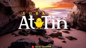 Surat At-Tin |سورة التين |Salim Bahanan | creative common