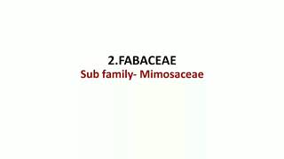 Fabaceae- Mimosaceae