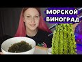 МОРСКОЙ ВИНОГРАД с Вайлдберриз | Зеленая икра или уми будо! Пробую водоросль морской виноград 🍇