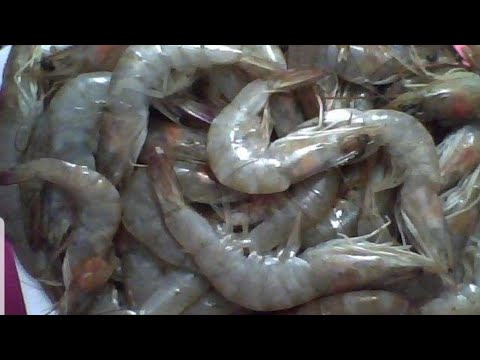 ضاع عمرنا واحنا ننظف الجمبرى (الروبيان)خطأ😏#تنظيف How to clean shrimp in 1 minute