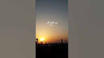 نُصِيبُ بِرَحْمَتِنَا مَن نَّشَاءُ.🤍سورة يوسف، الآية 56❤️ #basmalalens #اكسبلور #viral #تصويري #fyp