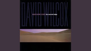 Watch David Wilcox Miss You When You Go video