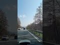 Livestream-Highlight