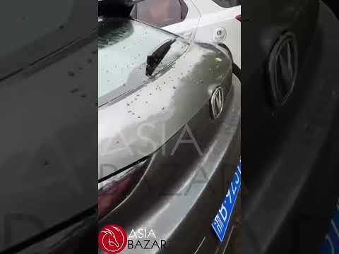 Asia Bazar. Осмотр