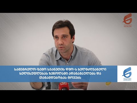 სამეგრელო-ზემო სვანეთის დმო-ს ხელმძღვანელი ხელისუფლებას ზეწოლაში ადანაშაულებს და თანამდებობას ტოვებს