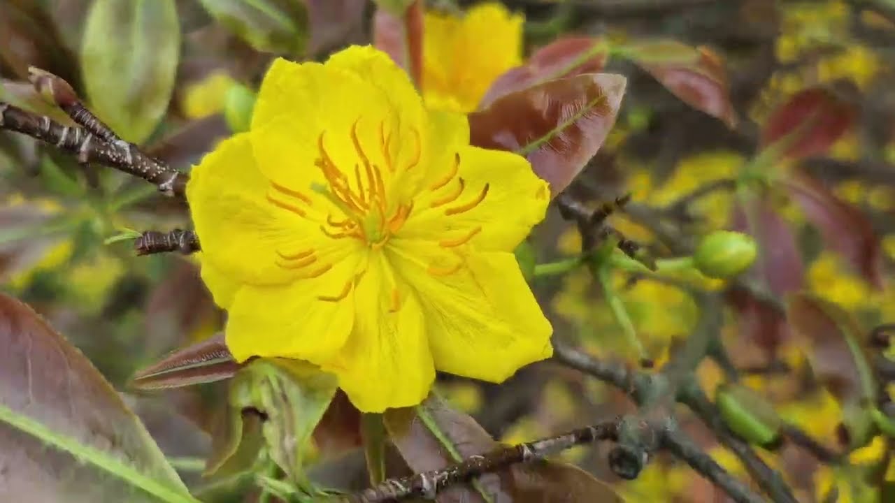 Giao nghê 2lớp fun hoa  lh 0976241776