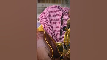 شريم تلاوة خاشعة #اكسبلور #قرآن #المصحف #تلاوة_خاشعة #لايك #قران_كريم ￼