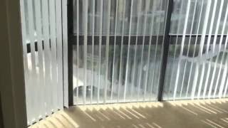 The prime at arlington courthouse apartments - 2 bedroom alexandria
floorplan