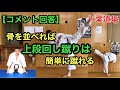 骨を並べれば上段回し蹴りは簡単に蹴れる 横蹴りが蹴れれば上段回し蹴りは蹴れる 上段回し蹴りをかっこ良く蹴る