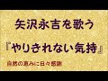『やりきれない気持』/矢沢永吉を歌う_683 by 自然の恵みに日々感謝