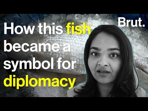 The story of Hilsa: the fish that travels with the Bangladesh prime minister