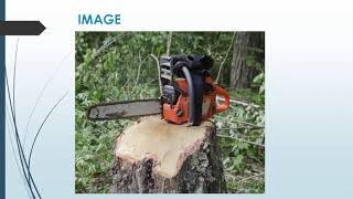 Best Tree Removal in Pymble