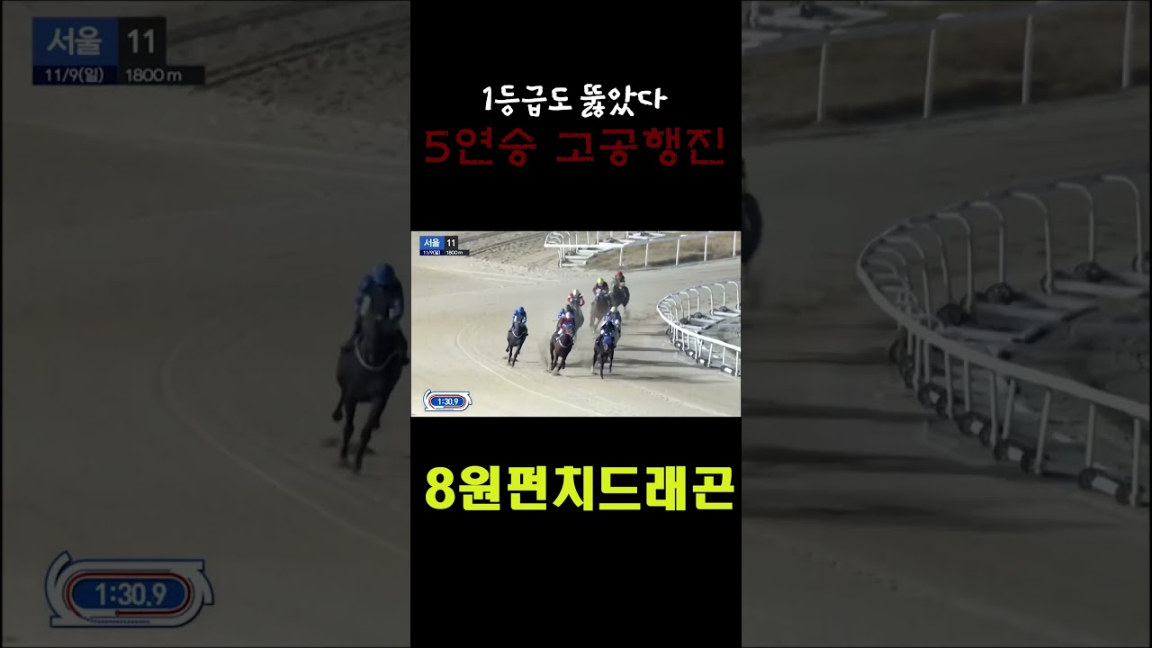 [경마 예상 원석경마] 신예 강자 원펀치드래곤 5연승과 함께 1등급 첫 무대 우승으로 장식하다!!! #shorts