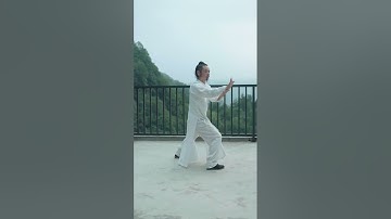 武當太乙五行拳 陳師宇道长 Wudang Tai yi wu xing quan by Master Chen Shiyu