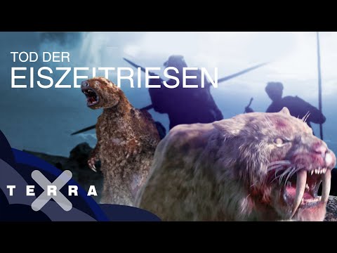 Fünf Fakten zum Ende der Megafauna | Terra X