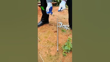 Nông nghiệp công nghệ cao, Tự động hóa trong sản xuất nông nghiệp