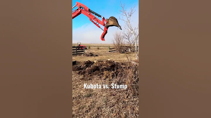 Kubota excavator stump removal #shorts #excavator #kubota #homestead