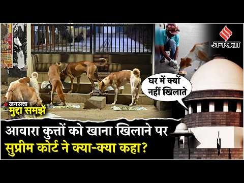 Supreme Court में Stray Dogs पर क्या सुनवाई हुई, कोर्ट ने जमकर क्या फटकार लगाई! Indore Street Dogs