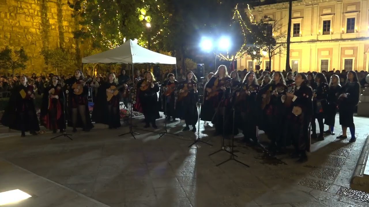 Tuna Femenina Universitaria de Sevilla - Vigilia Inmaculada Sevilla 2025. 🎥 Manuel Rosa Fernández