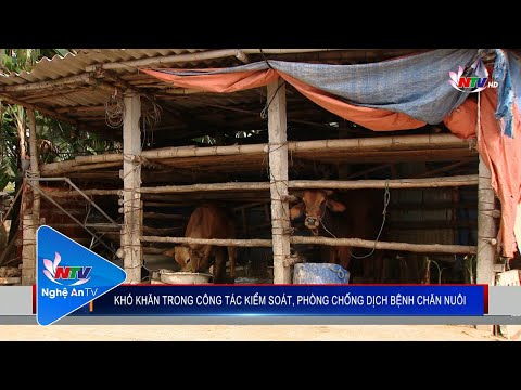 Video Khó khăn trong công tác kiểm soát, phòng chống dịch... - youtube