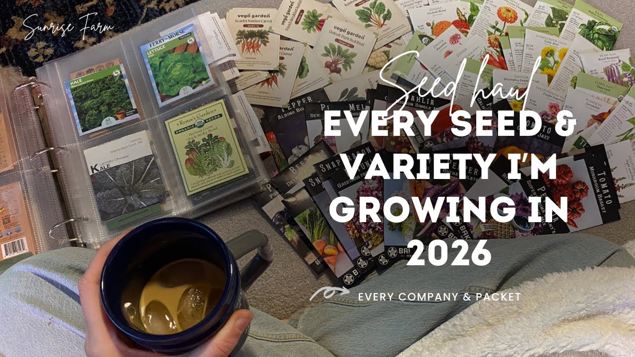 Все семена и сорта, которые я буду выращивать в 2026 году | Покупка семян - где их приобрести | З...