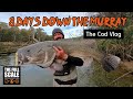 8 days down the murray  the murray cod vlog  the full scale