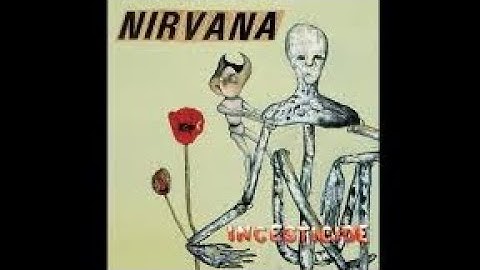 Nirvana Incesticide 1992 Full Album Music Video