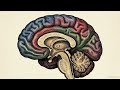The Pineal Gland: Seat of the Soul, Melatonin Machine & DMT Factory