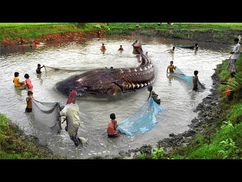 Monster River Discovered In Amazon 16 Youtube