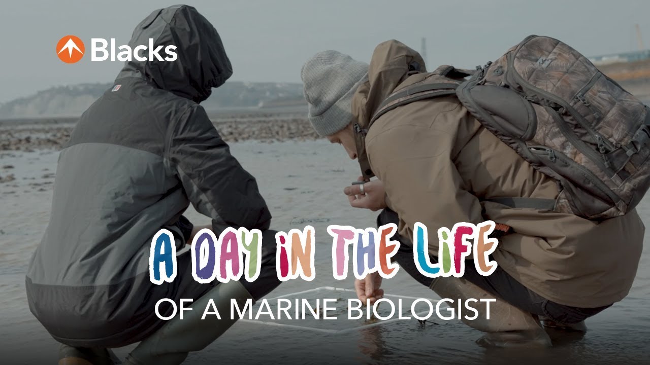A Day In The Life | Marine Biologist montanero