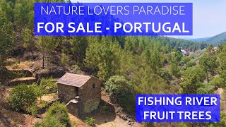 STONE MOUNTAIN COTTAGE WITH SWIMMING RIVER  BARGAIN CENTRAL PORTUGAL REAL ESTATE