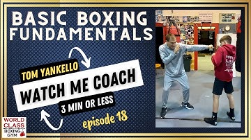 The Basic Boxing Fundamentals Everyone Should Know - Head & Body Mechanics