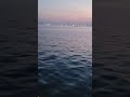 여수 출항중 #short