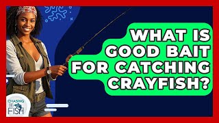 What Is Good Bait For Catching Crayfish? - Chasing Big Fish
