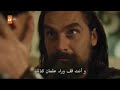 موت ايبرس 