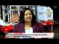Swara bongo wanne wa mlimani walio katika hatari ya kuangamia warejeshwa Kenya kutoka Ulaya