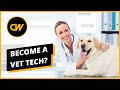 Become a Vet Tech in 2020? Salaries, Jobs , Forecasts