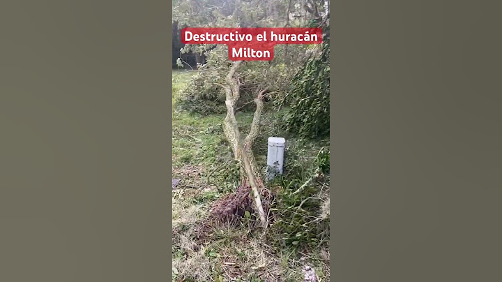 Destructivo el Huracán Milton#sebring#florida