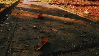 Autumn - cinematic video footage - musim gugur