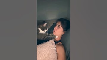 Try Not To Laugh Challenge - Cat Edition 😹 #shorts #trending #cat