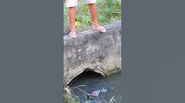 Remove Many Trash Clogged Culvert Drain #unclog #drain #remove #culvert #shorts