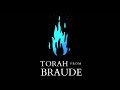 Chukas - Gazing - Torah from Braude