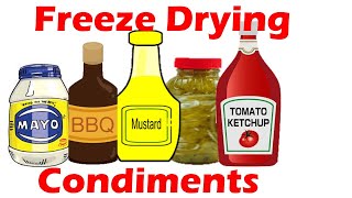 Freeze Drying Condiments