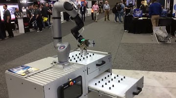 Link 6 collaborative robot
