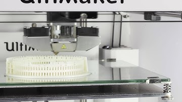 Roman Colosseum by CausalJoemama7 - Ultimaker: 3D Printing Timelapse