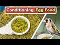 How To Make The PERFECT Conditioning Egg Food For Birds | Canaries & Finches