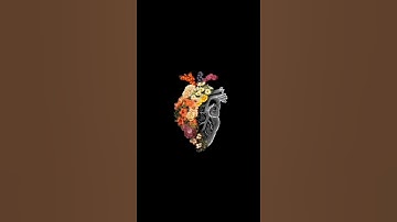 راحة نفسية ❤..أجمل حالات واتس اب قران كريم بصوت شريف مصطفى/آية قرانية قصيرة لراحة قلبك ستوريات انستا