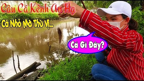 Câu Cá Kênh An Hạ Hóc Môn Thật Thú Vị | Dã Ngoại Cùng Lan