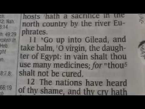 Jeremiah 46 (King James Holy Bible)